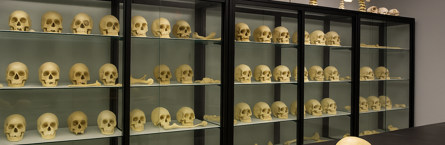 Forensic Anthropology and Bioarchaeology Labs